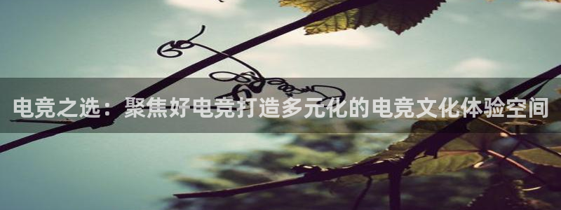 JJB电竞官方网站：电竞之选：聚焦好电竞打造多元化的电竞文化体验空间