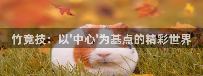 JJB电竞官：竹竞技：以\'中心\'为基点的精彩世界