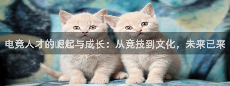 JJB电竞官方网站：电竞人才的崛起与成长：从竞技到文化，未来已来