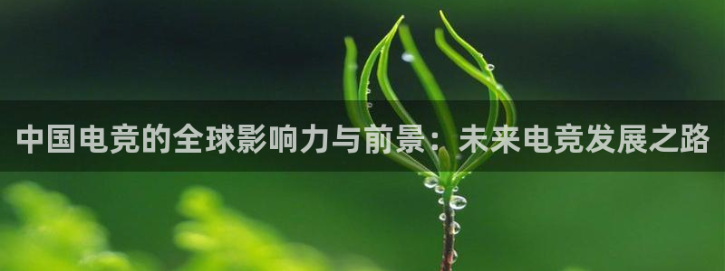JJB电竞官方网站：中国电竞的全球影响力与前景：未来电竞发展之路