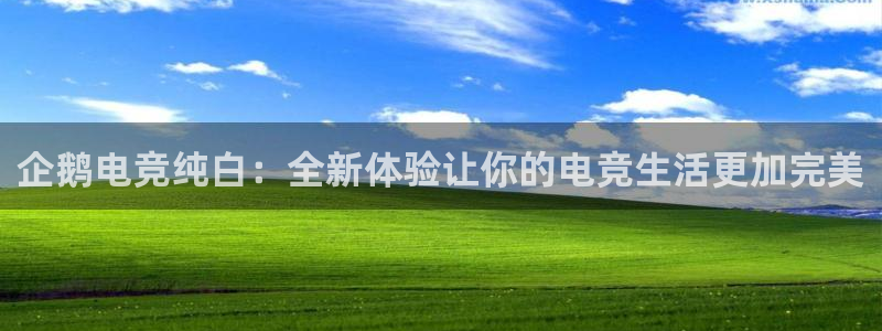 JJB电竞官方网站：企鹅电竞纯白：全新体验让你的电竞生活更加完美