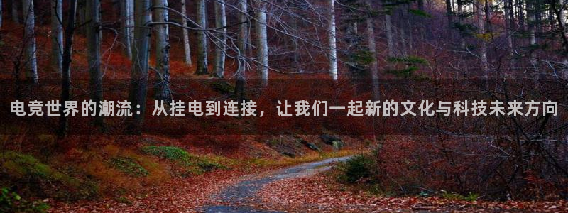 JJB电竞官：电竞世界的潮流：从挂电到连接，让我们一起新的文化与科技未来方向